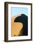 Sand Dunes at Sossusvlei-Paul Souders-Framed Photographic Print