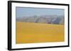 Sand Dunes at Sunset, Maspalomas Beach, Gran Canaria, Canary Islands, Spain, December 2008-Relanzón-Framed Photographic Print