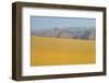 Sand Dunes at Sunset, Maspalomas Beach, Gran Canaria, Canary Islands, Spain, December 2008-Relanzón-Framed Photographic Print