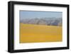 Sand Dunes at Sunset, Maspalomas Beach, Gran Canaria, Canary Islands, Spain, December 2008-Relanzón-Framed Photographic Print