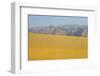 Sand Dunes at Sunset, Maspalomas Beach, Gran Canaria, Canary Islands, Spain, December 2008-Relanzón-Framed Photographic Print