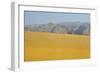 Sand Dunes at Sunset, Maspalomas Beach, Gran Canaria, Canary Islands, Spain, December 2008-Relanzón-Framed Photographic Print