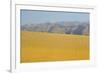 Sand Dunes at Sunset, Maspalomas Beach, Gran Canaria, Canary Islands, Spain, December 2008-Relanzón-Framed Photographic Print