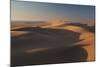 Sand Dunes at Sunset Near Swakopmund in Namibia-Alex Saberi-Mounted Photographic Print