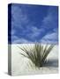 Sand Dunes at White Sands National Monument, New Mexico, USA-Diane Johnson-Stretched Canvas