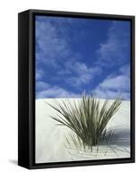 Sand Dunes at White Sands National Monument, New Mexico, USA-Diane Johnson-Framed Stretched Canvas