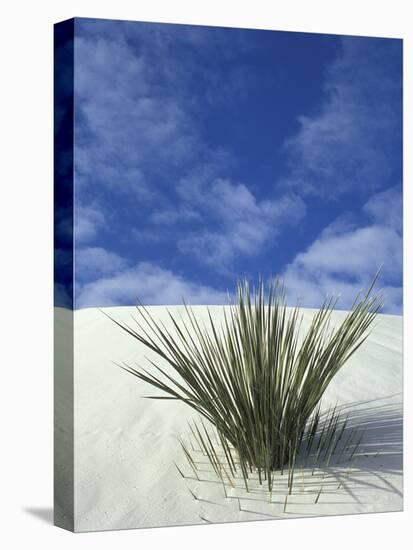 Sand Dunes at White Sands National Monument, New Mexico, USA-Diane Johnson-Stretched Canvas