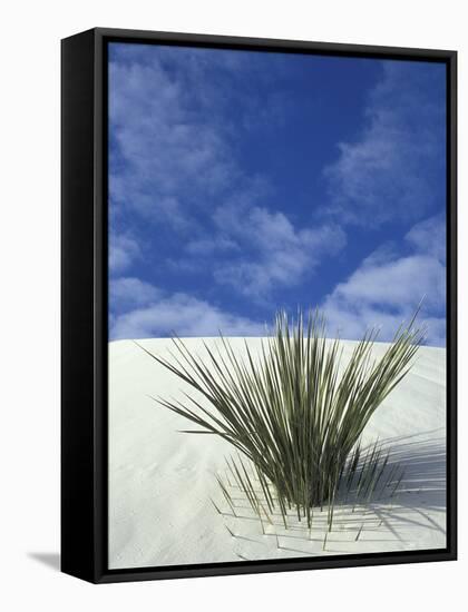 Sand Dunes at White Sands National Monument, New Mexico, USA-Diane Johnson-Framed Stretched Canvas