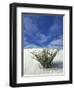 Sand Dunes at White Sands National Monument, New Mexico, USA-Diane Johnson-Framed Photographic Print