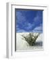 Sand Dunes at White Sands National Monument, New Mexico, USA-Diane Johnson-Framed Photographic Print