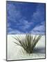 Sand Dunes at White Sands National Monument, New Mexico, USA-Diane Johnson-Mounted Photographic Print