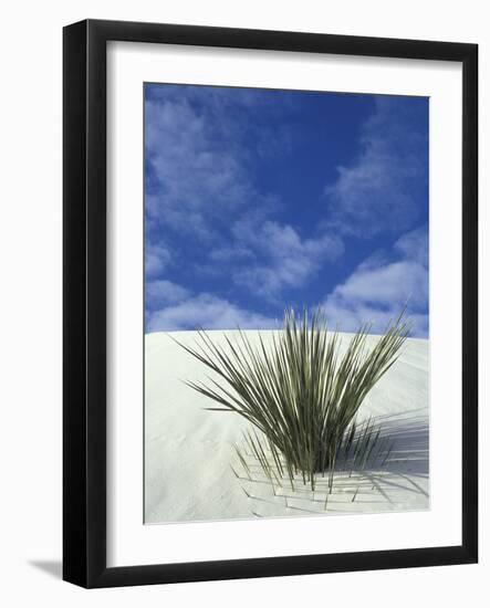 Sand Dunes at White Sands National Monument, New Mexico, USA-Diane Johnson-Framed Photographic Print