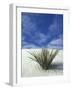 Sand Dunes at White Sands National Monument, New Mexico, USA-Diane Johnson-Framed Photographic Print