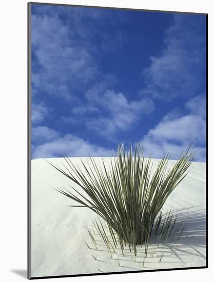 Sand Dunes at White Sands National Monument, New Mexico, USA-Diane Johnson-Mounted Photographic Print