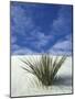 Sand Dunes at White Sands National Monument, New Mexico, USA-Diane Johnson-Mounted Photographic Print