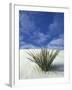 Sand Dunes at White Sands National Monument, New Mexico, USA-Diane Johnson-Framed Photographic Print