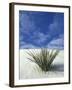 Sand Dunes at White Sands National Monument, New Mexico, USA-Diane Johnson-Framed Photographic Print