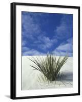 Sand Dunes at White Sands National Monument, New Mexico, USA-Diane Johnson-Framed Photographic Print