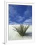 Sand Dunes at White Sands National Monument, New Mexico, USA-Diane Johnson-Framed Photographic Print