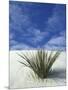 Sand Dunes at White Sands National Monument, New Mexico, USA-Diane Johnson-Mounted Photographic Print