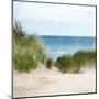 Sand Dunes Beach-Kimberly Allen-Mounted Art Print
