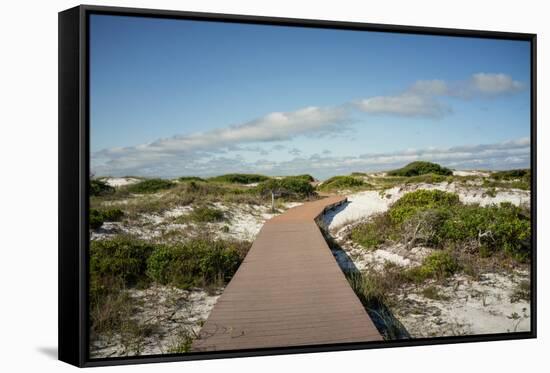 Sand Dunes Boardwalk-forestpath-Framed Stretched Canvas