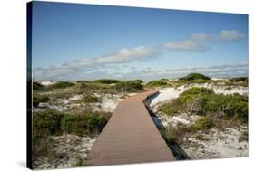 Sand Dunes Boardwalk-forestpath-Stretched Canvas
