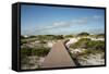 Sand Dunes Boardwalk-forestpath-Framed Stretched Canvas