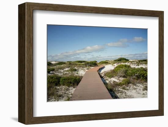 Sand Dunes Boardwalk-forestpath-Framed Photographic Print