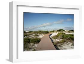 Sand Dunes Boardwalk-forestpath-Framed Photographic Print