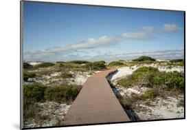 Sand Dunes Boardwalk-forestpath-Mounted Photographic Print
