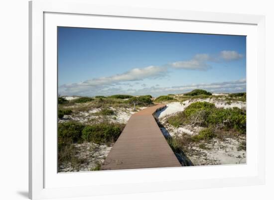 Sand Dunes Boardwalk-forestpath-Framed Photographic Print