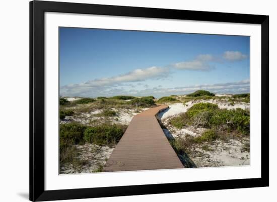 Sand Dunes Boardwalk-forestpath-Framed Photographic Print