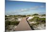 Sand Dunes Boardwalk-forestpath-Mounted Photographic Print
