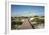 Sand Dunes Boardwalk-forestpath-Framed Photographic Print