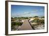 Sand Dunes Boardwalk-forestpath-Framed Photographic Print