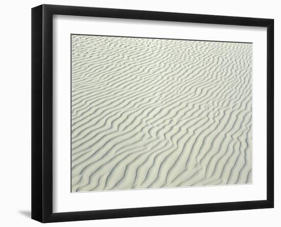 Sand Dunes, Close-Up, Germany, Lower Saxony, the North Sea, East Frisian Islands, Borkum-Andreas Keil-Framed Photographic Print