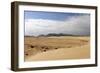 Sand Dunes, Corralejo, Fuerteventura, Canary Islands-Peter Thompson-Framed Photographic Print