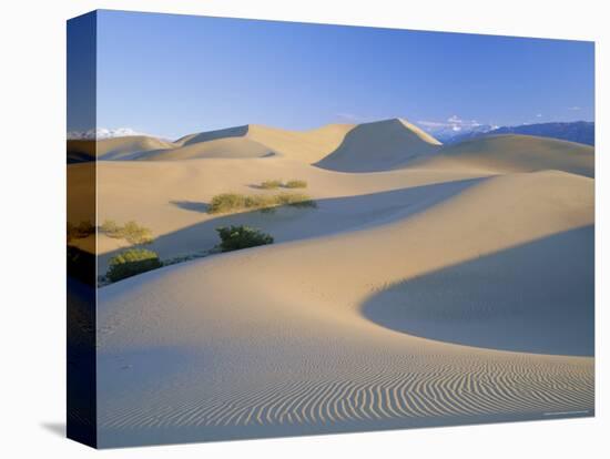 Sand Dunes, Death Valley National Monument, California, USA-Roy Rainford-Stretched Canvas