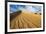 Sand Dunes, Desert in Death Valley.-lucky-photographer-Framed Photographic Print