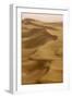 Sand Dunes, Dubai, United Arab Emirates, Middle East-Balan Madhavan-Framed Photographic Print