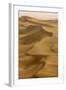 Sand Dunes, Dubai, United Arab Emirates, Middle East-Balan Madhavan-Framed Photographic Print