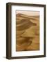 Sand Dunes, Dubai, United Arab Emirates, Middle East-Balan Madhavan-Framed Photographic Print