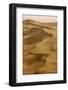 Sand Dunes, Dubai, United Arab Emirates, Middle East-Balan Madhavan-Framed Photographic Print