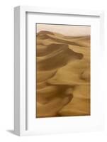 Sand Dunes, Dubai, United Arab Emirates, Middle East-Balan Madhavan-Framed Photographic Print