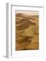 Sand Dunes, Dubai, United Arab Emirates, Middle East-Balan Madhavan-Framed Photographic Print