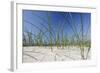 Sand Dunes, Dune Vegetation, Portuguese Atlantic Coast, Praia D'El Rey, Province Obidos, Portugal-Axel Schmies-Framed Photographic Print