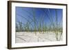 Sand Dunes, Dune Vegetation, Portuguese Atlantic Coast, Praia D'El Rey, Province Obidos, Portugal-Axel Schmies-Framed Photographic Print