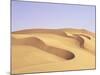 Sand Dunes, Erg Murzuq, Fezzan, Sahara Desert, Libya, North Africa, Africa-Sergio Pitamitz-Mounted Photographic Print