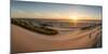 Sand dunes, grass, and driftwood at sunset on the Oregon coast, Oregon, United States of America, N-Tyler Lillico-Mounted Photographic Print